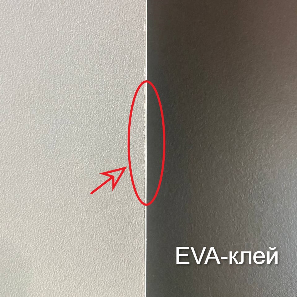 EVA111.jpg